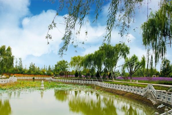 银川市2020年清明节地生态安葬暨生命晶石交付仪式今日在银川福寿园举办（2020-3-24）